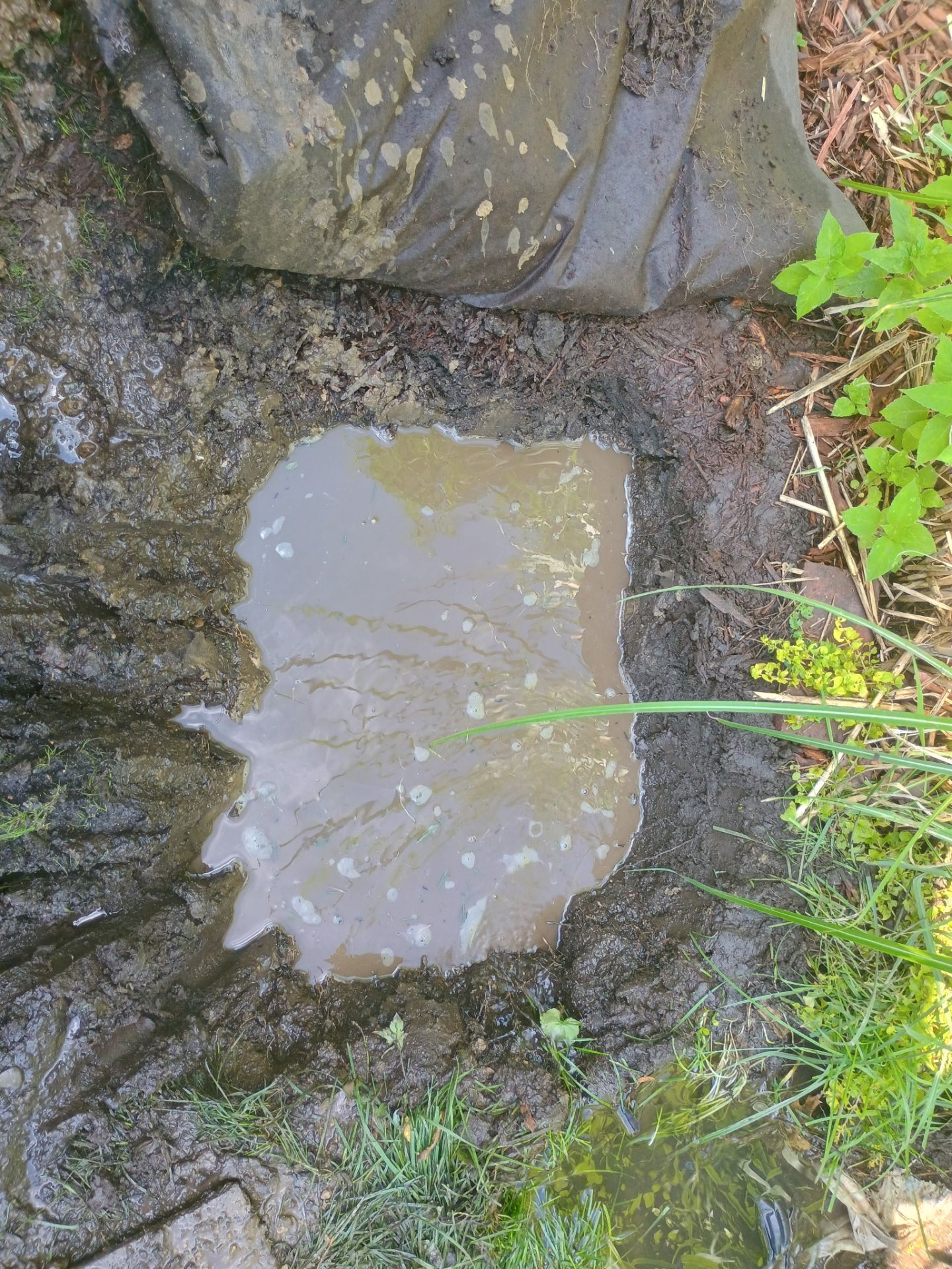 Buried Yard Drainage Installation in Plymouth, MN by Waterproofing Northeast