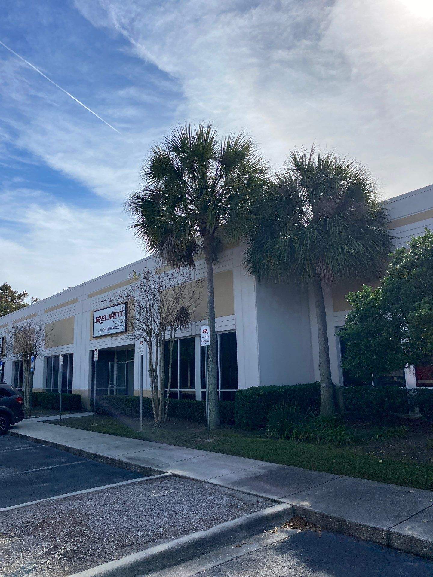 Tree & Palm Trimming | Commercial Property by ProGreen Services