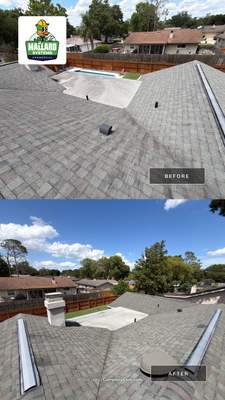 Shingle Roof Cleaning