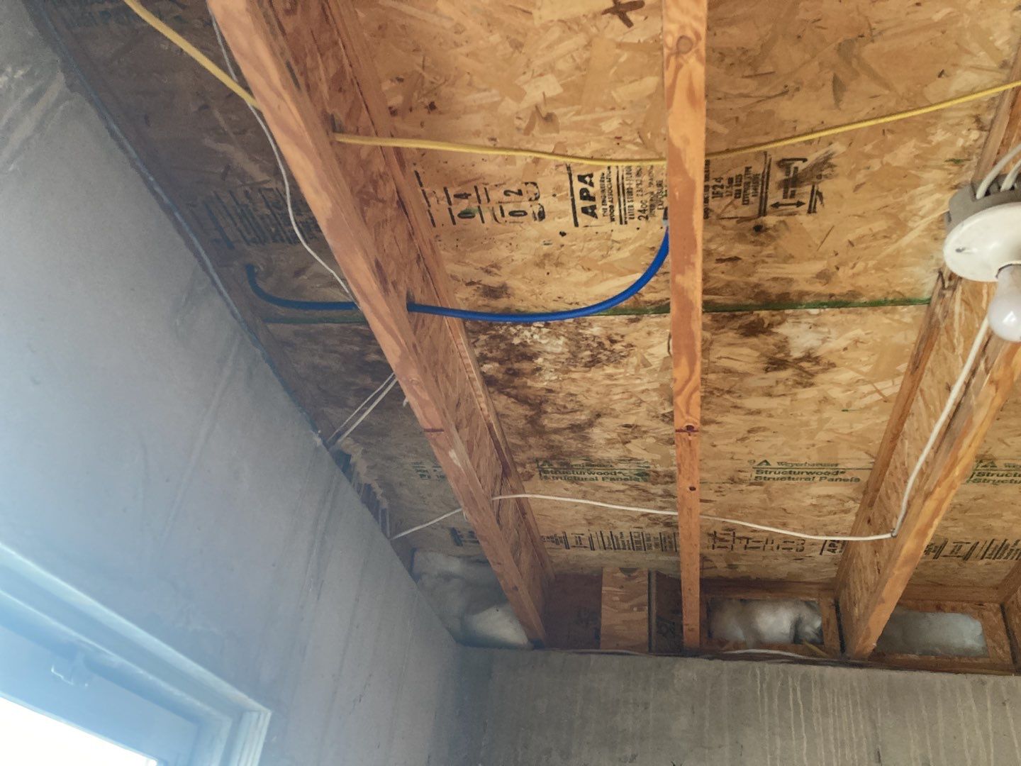 Mold Remediation in Kitchen by Accountable Home Services