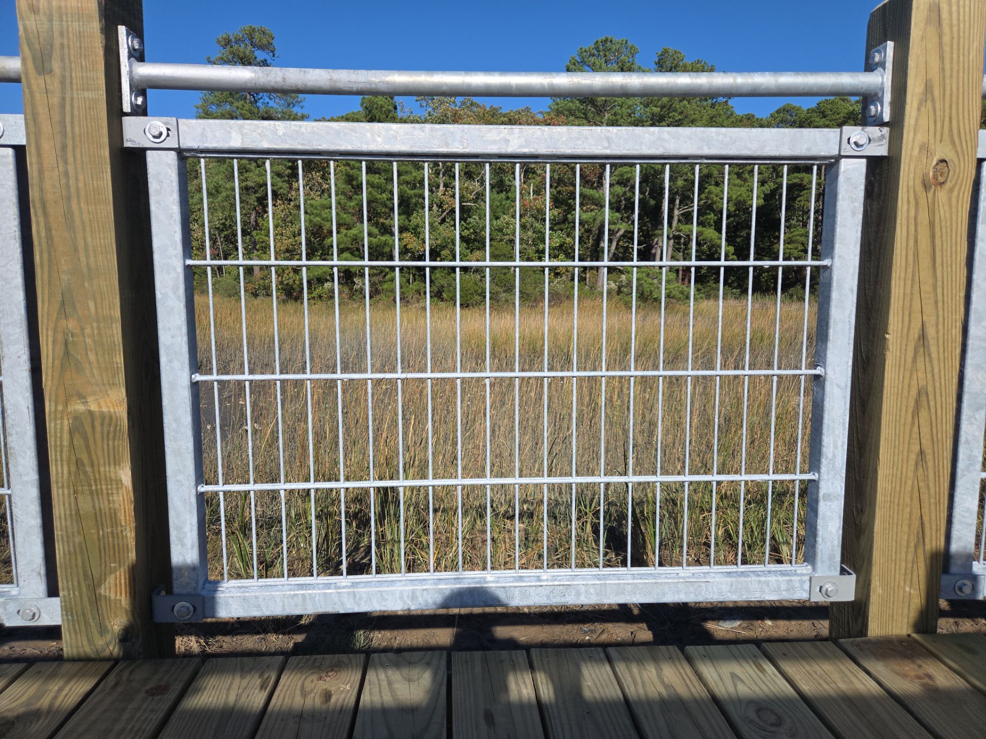 Project in Virginia Beach by Gregory Sandstrom