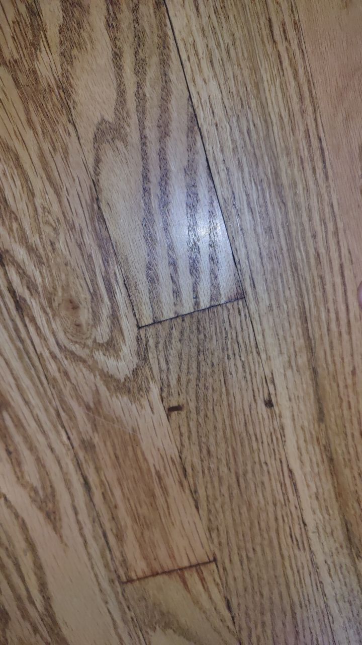 Water Damage by Accountable Home Services