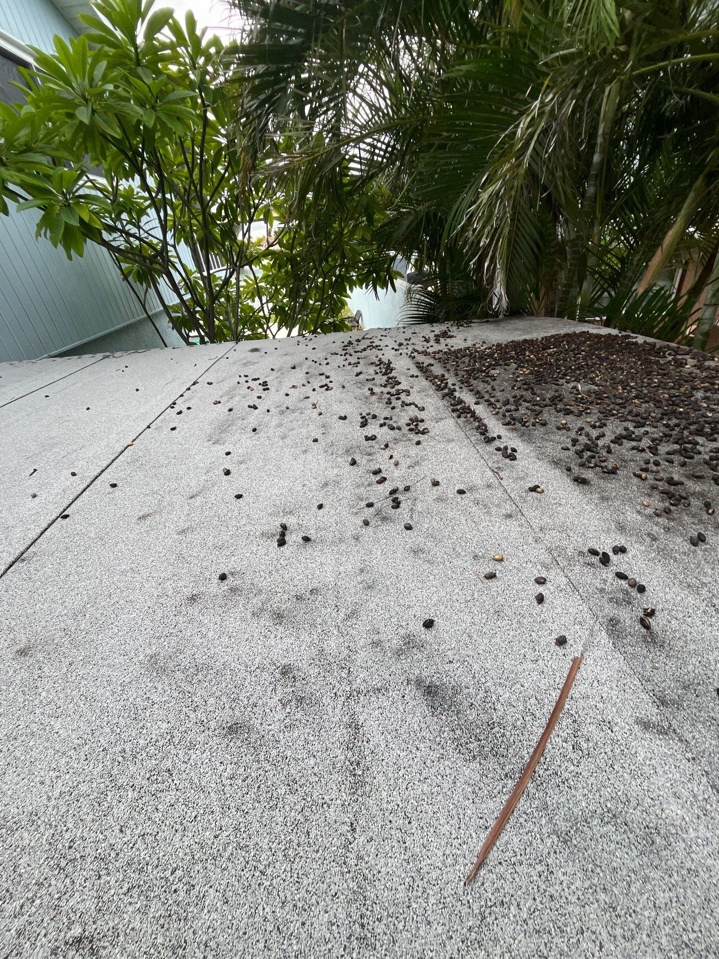 Project in St Pete Beach 33706 by Mitchell Roofing Company LLC 