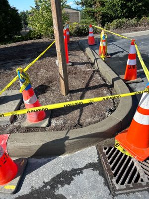Craig Cook Concrete Curb Repair 