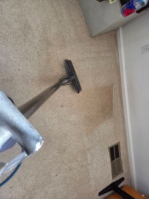Professional Carpet Cleaning and Soil Extraction in Elk Grove