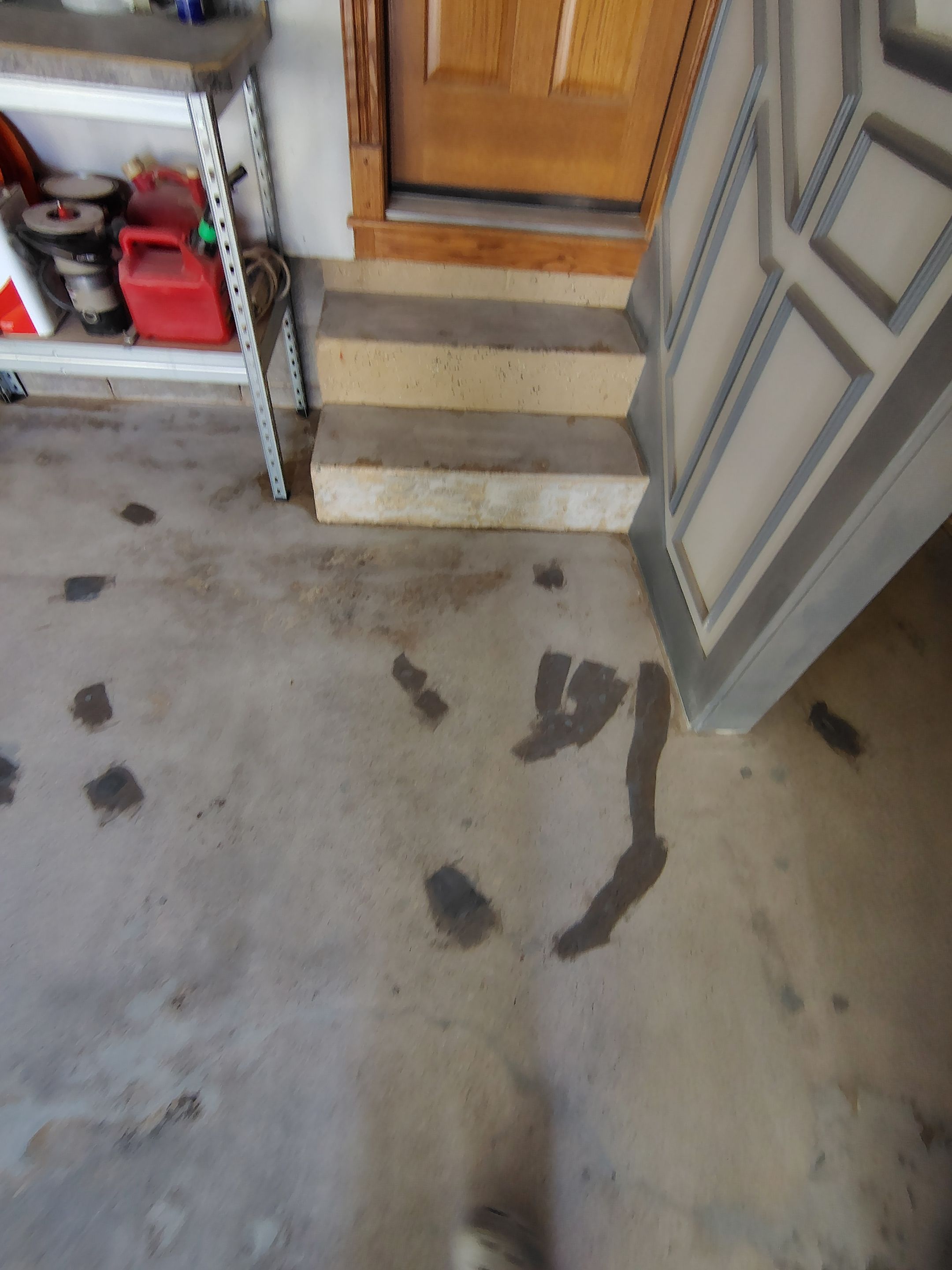 Nightfall Decorative Chip Garage Floor Coating in Luverne, Minnesota by Select Painting, Coatings & Garage Cabinets