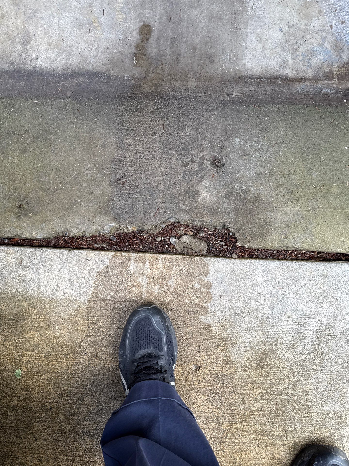 Basement Project in Bradford Woods by Floors in a Day, Inc