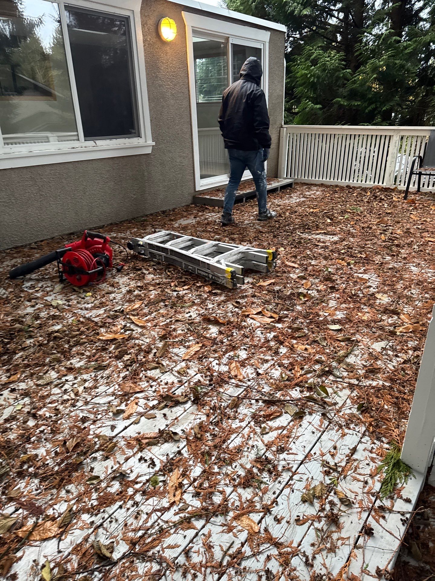 Leaf removal by YVR Construction Group