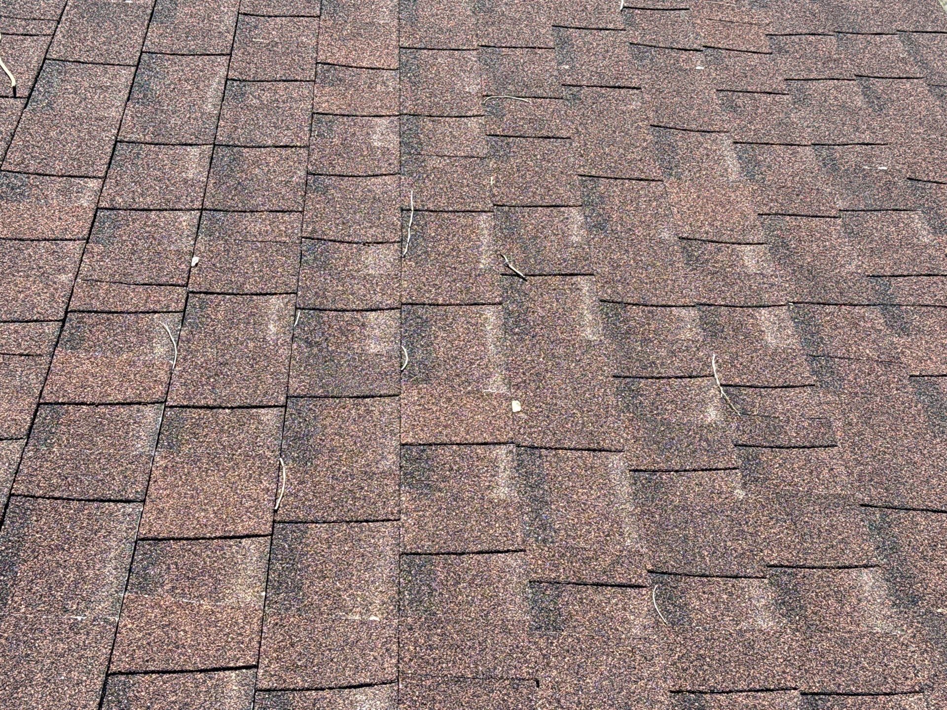 Residential Roof Replacement and OSB Decking Installation in Boise by Olive Roofing