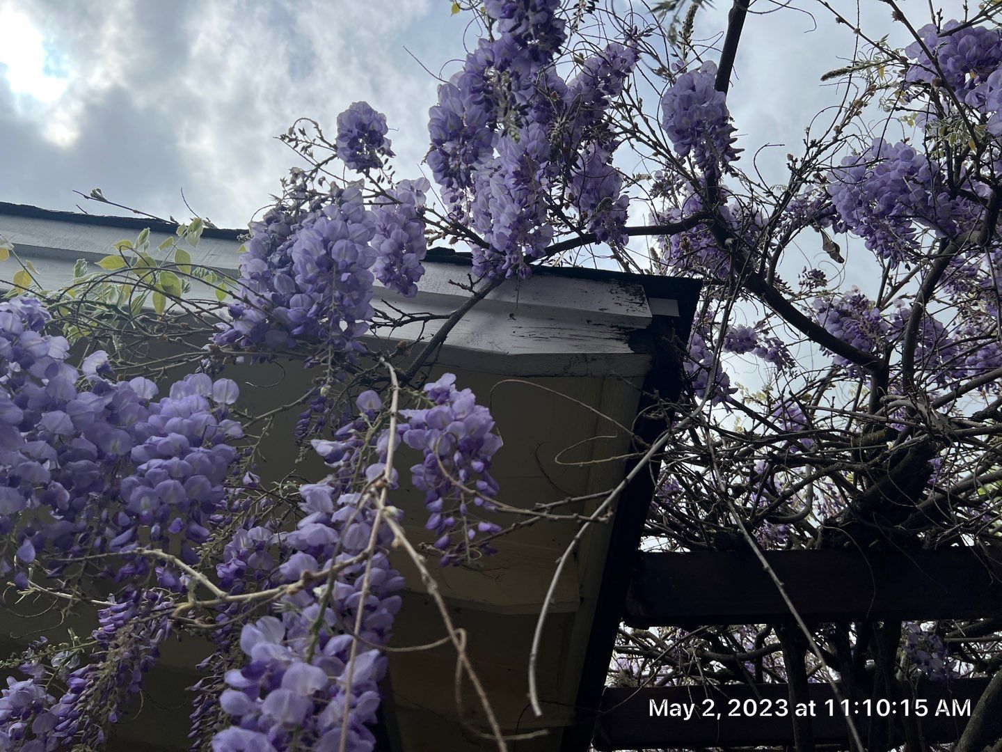 Metal roofing installation using ASC Standing Seam metal by Straight Edge Roofing Inc