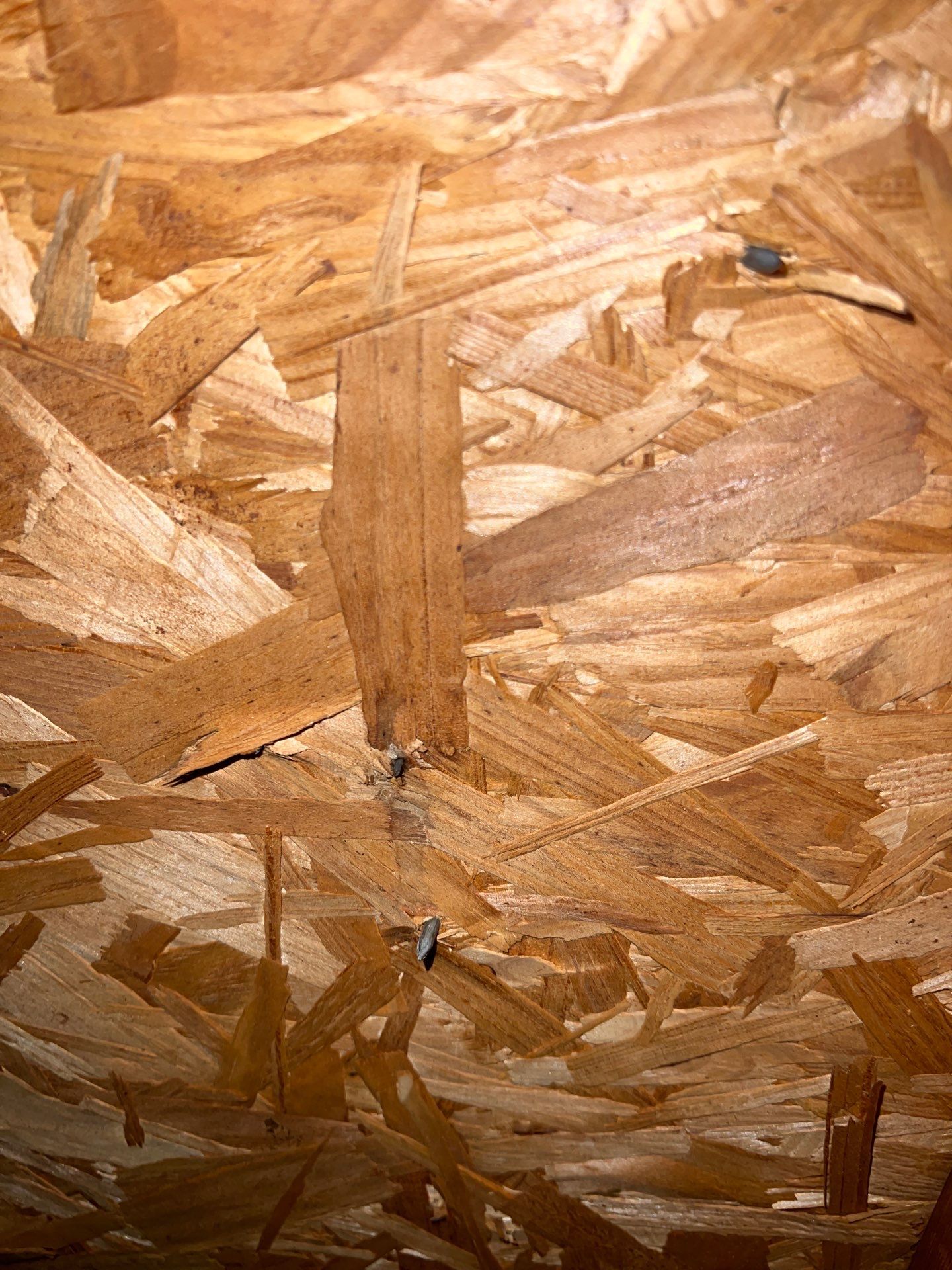 Roof Repair Pearland by Roof Repair Company