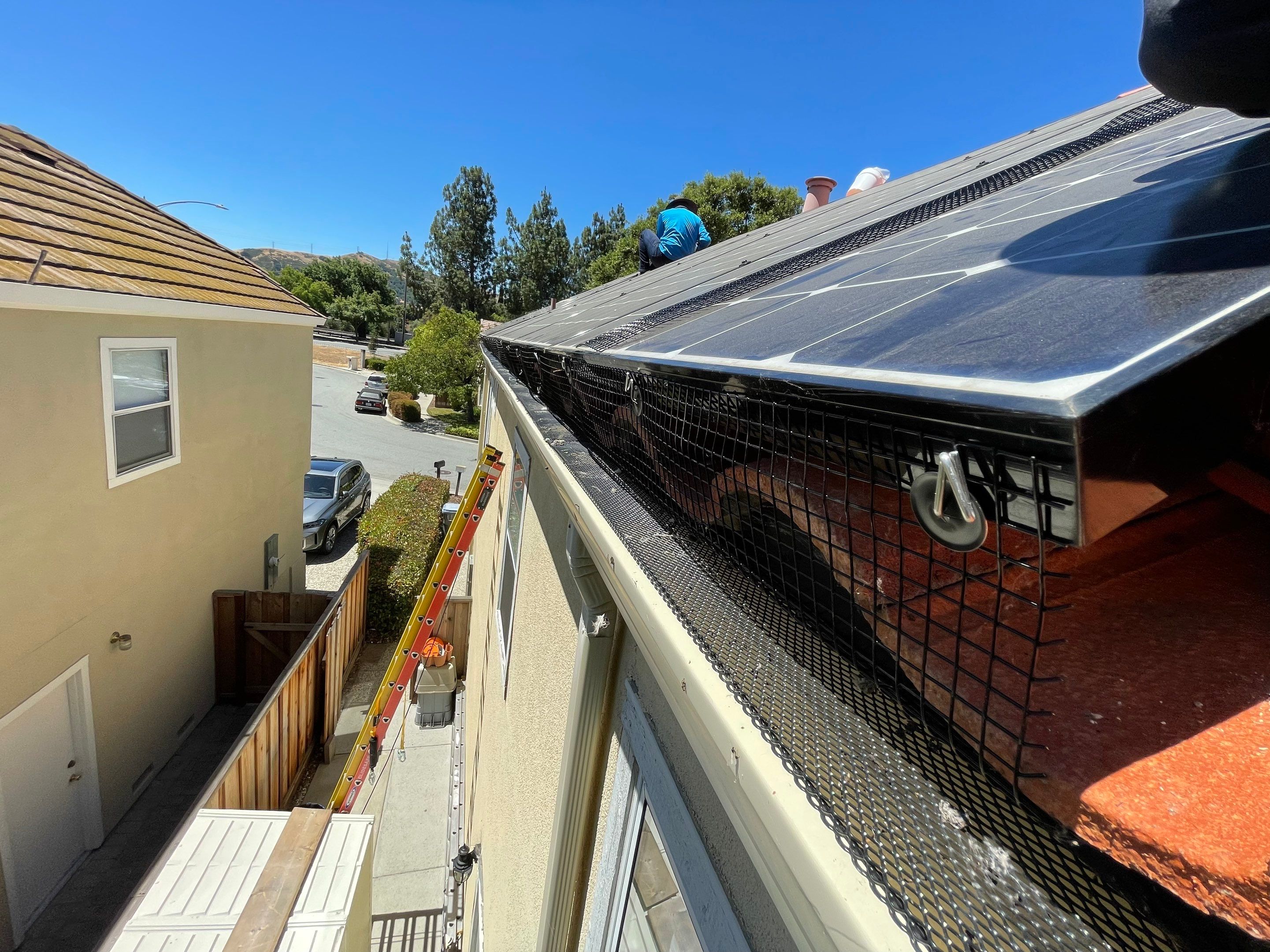 Solar Panel Bird Proofing using Critter Guard Mesh by All One Solar Shine