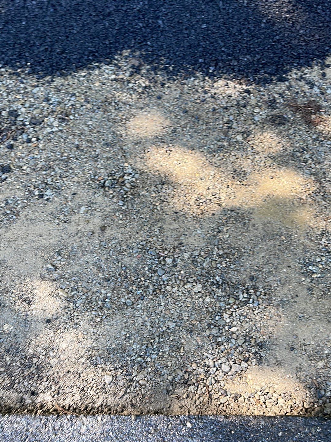 Buchan Bros | Asphalt Patch Repair  by Jireh Asphalt & Concrete Inc 