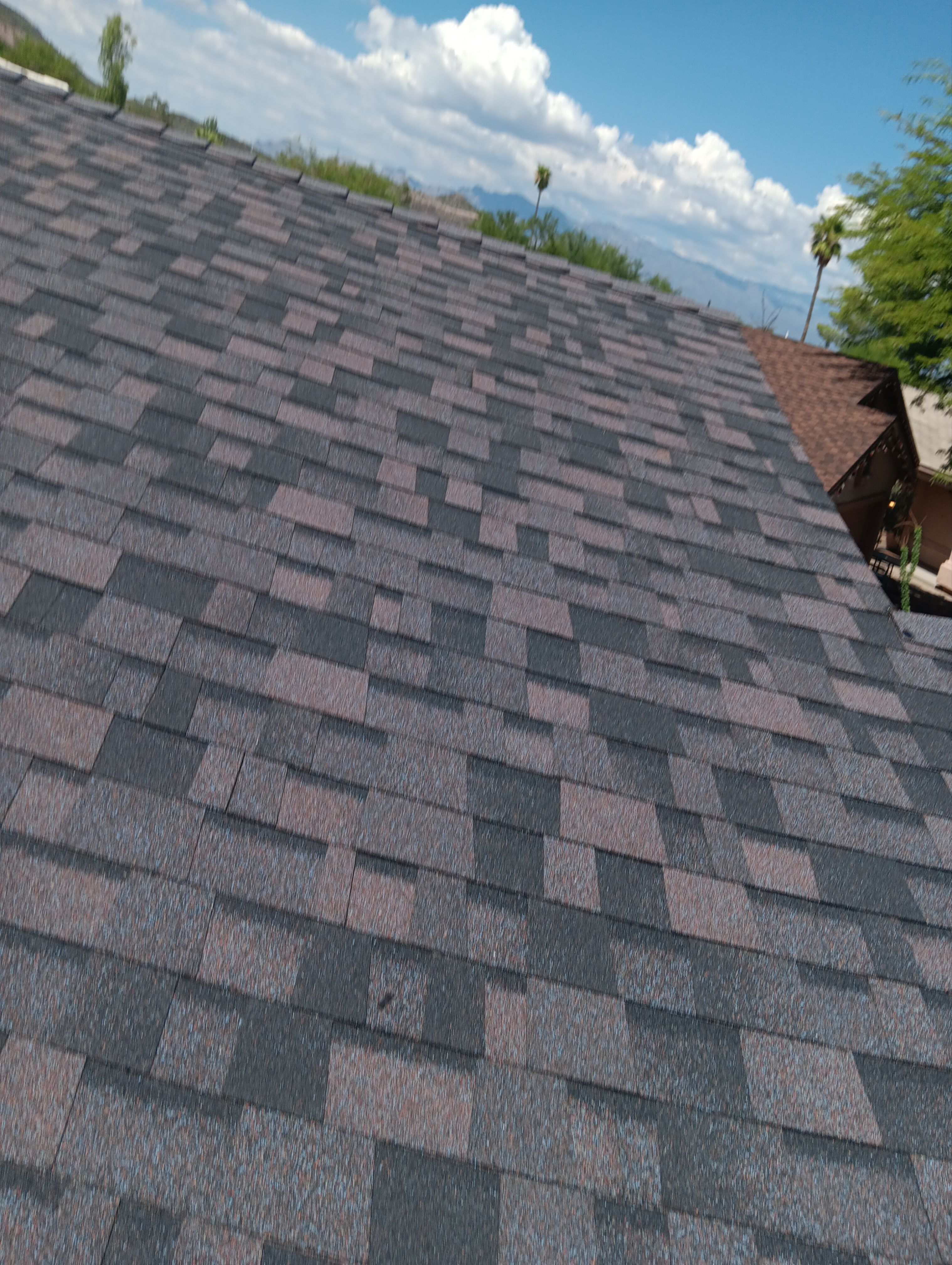 Charcoal Shingles by Reimagine Roofing
