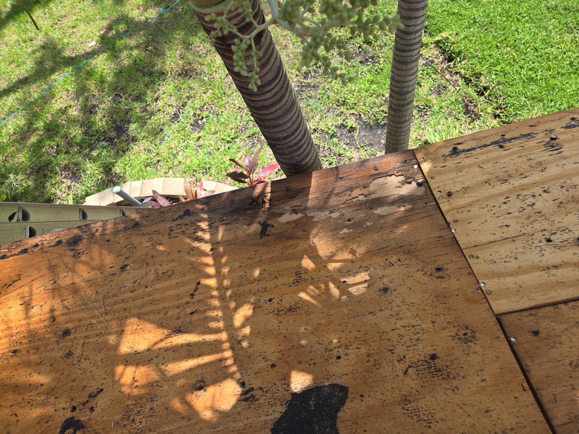 Project in Seminole 33778 by Mitchell Roofing Company LLC