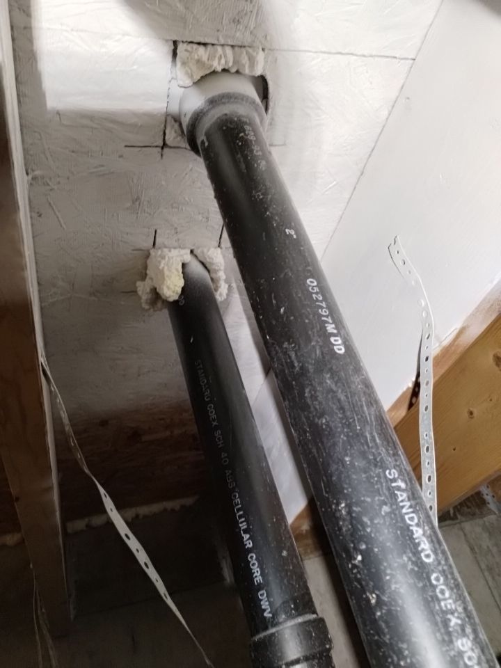 Mold Damage by Accountable Home Services