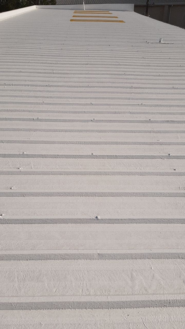 Metal Coating and Skylight Protection by Georgia Roof Advisors