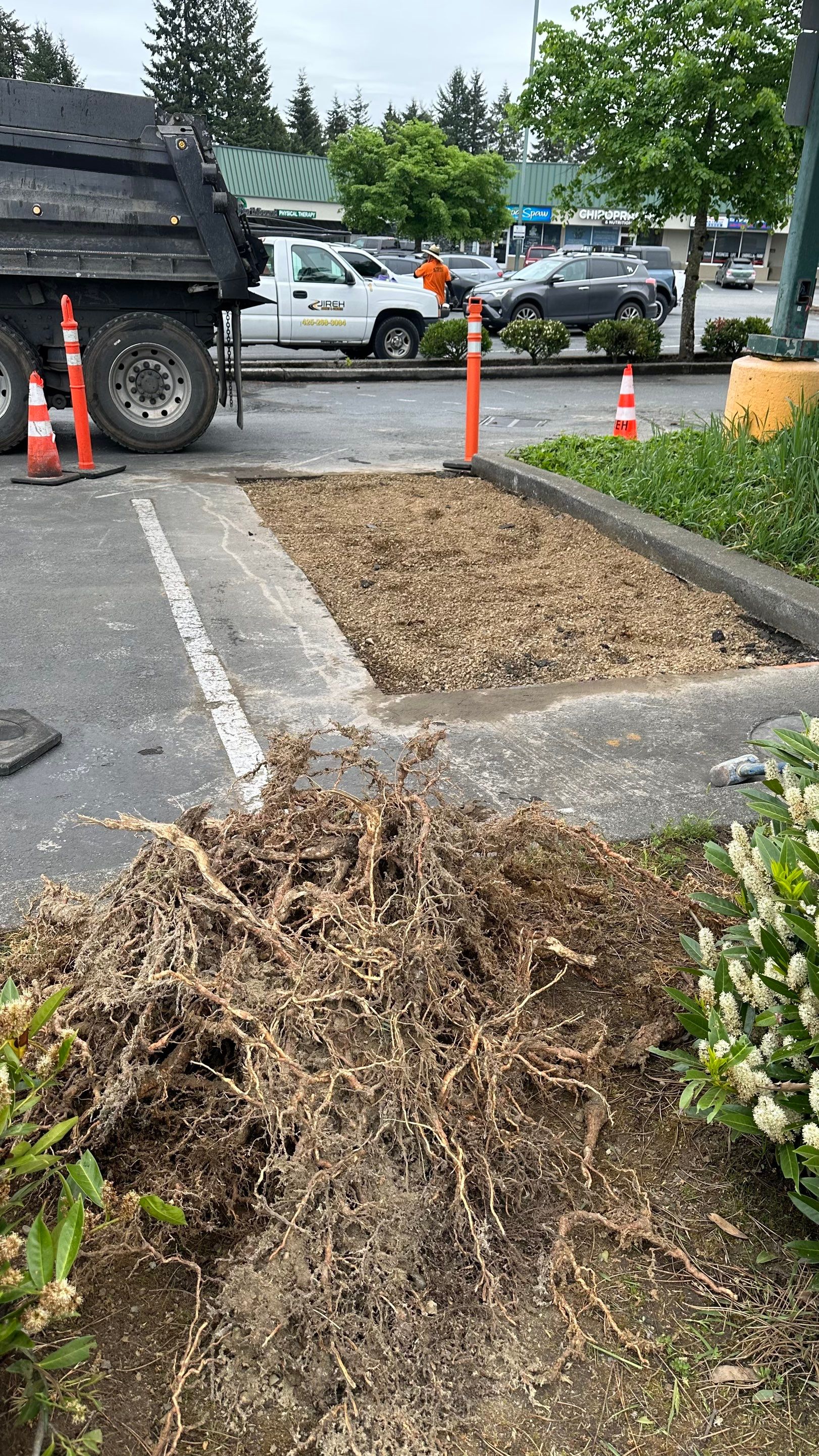 Amanda | Concrete Curb by Jireh Asphalt & Concrete Inc 