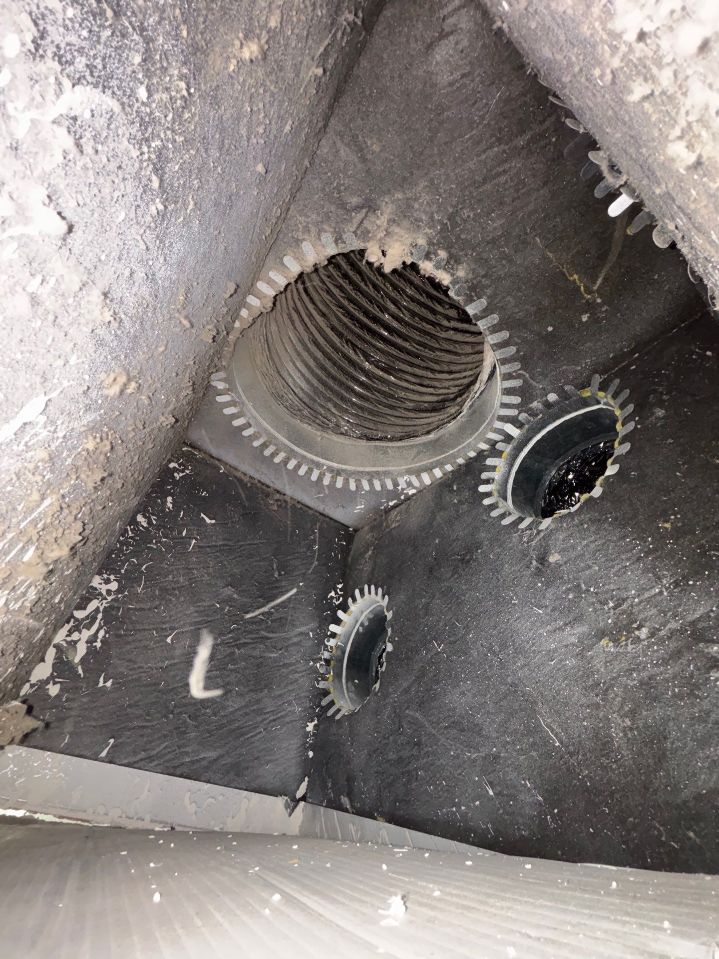 Air Duct Cleaning in Clermont by Hygienic Air, Inc