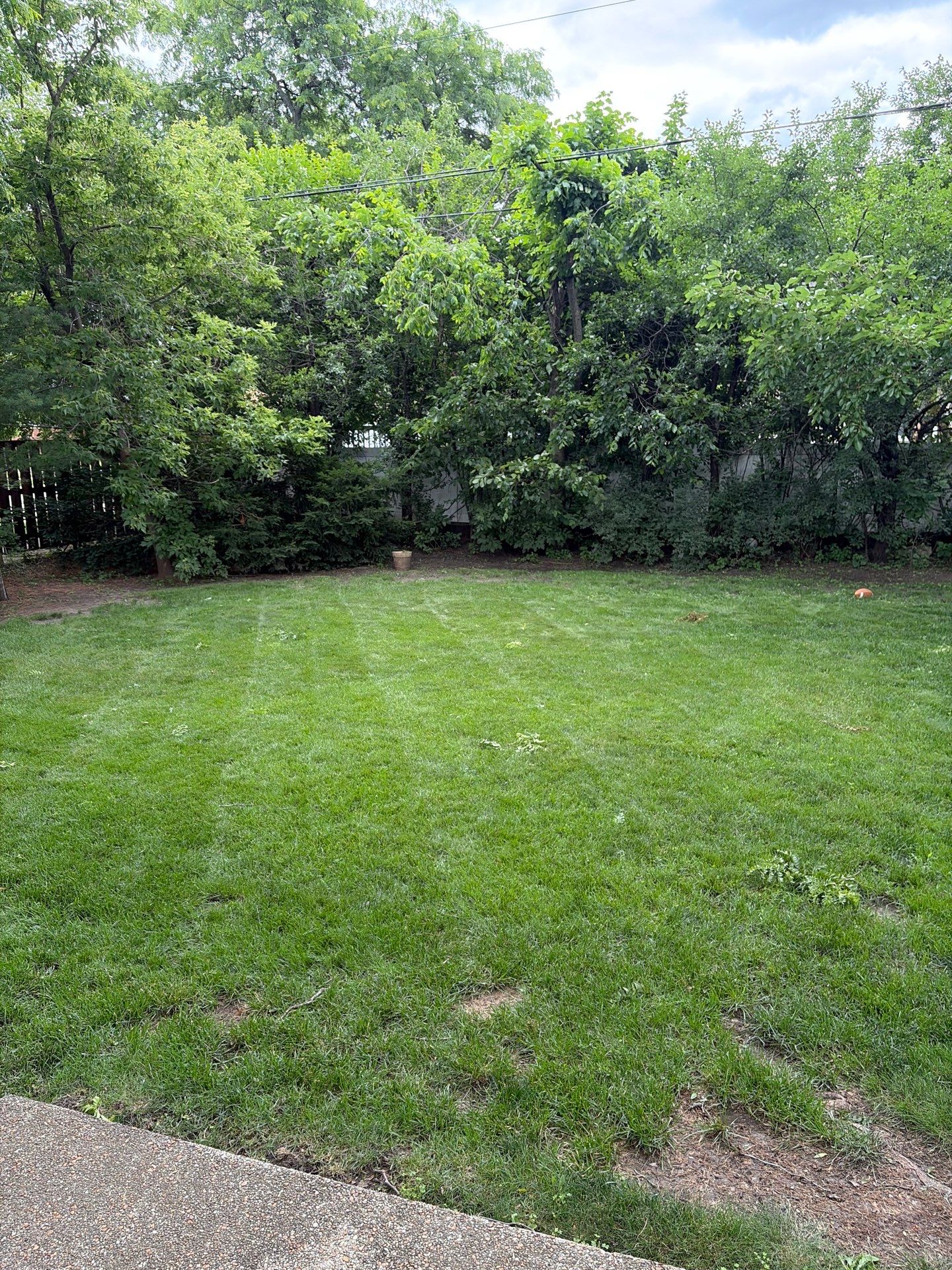 Lauren T. - Arlington Heights, IL by A&N