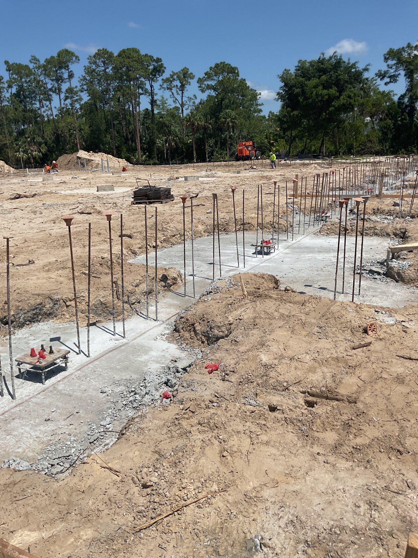 TRACTOR SUPPLY NAPLES by Southern Gulf Construction