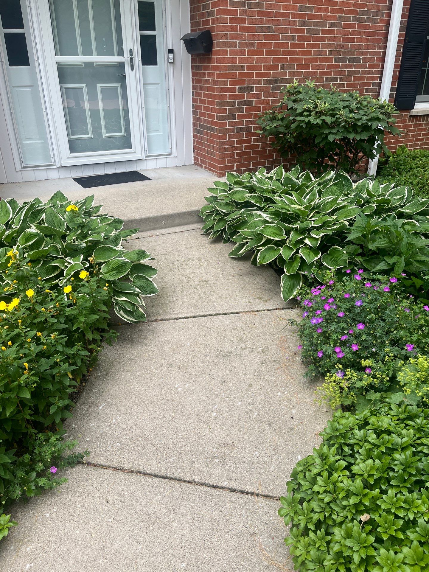 Brick paver clean, sand and seal.  using Surebond SB-1300 by Northern Power Washing LLC.