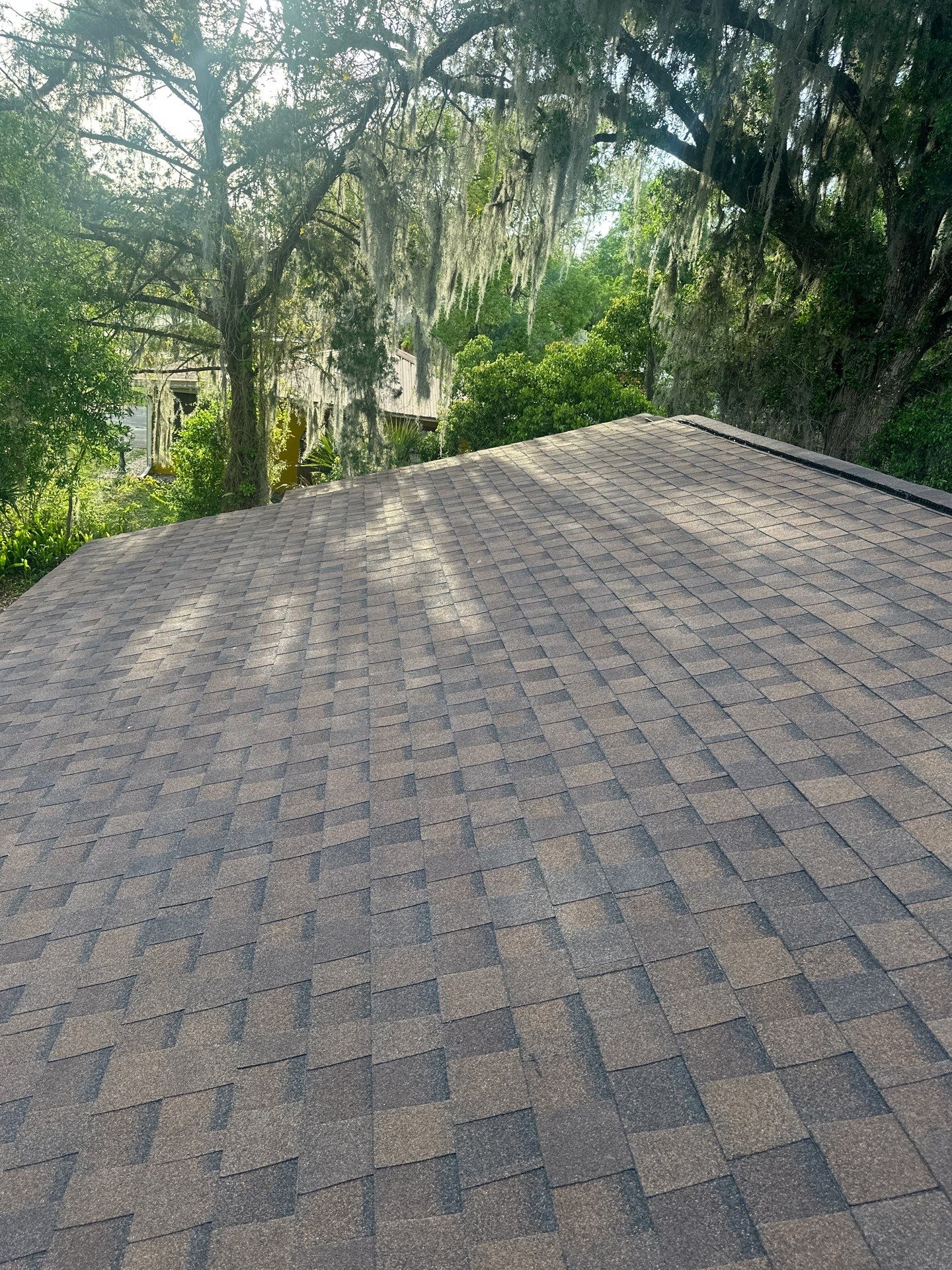 Shingle Reroof Replacement Orange City FL by Pinnacle Roofing Group