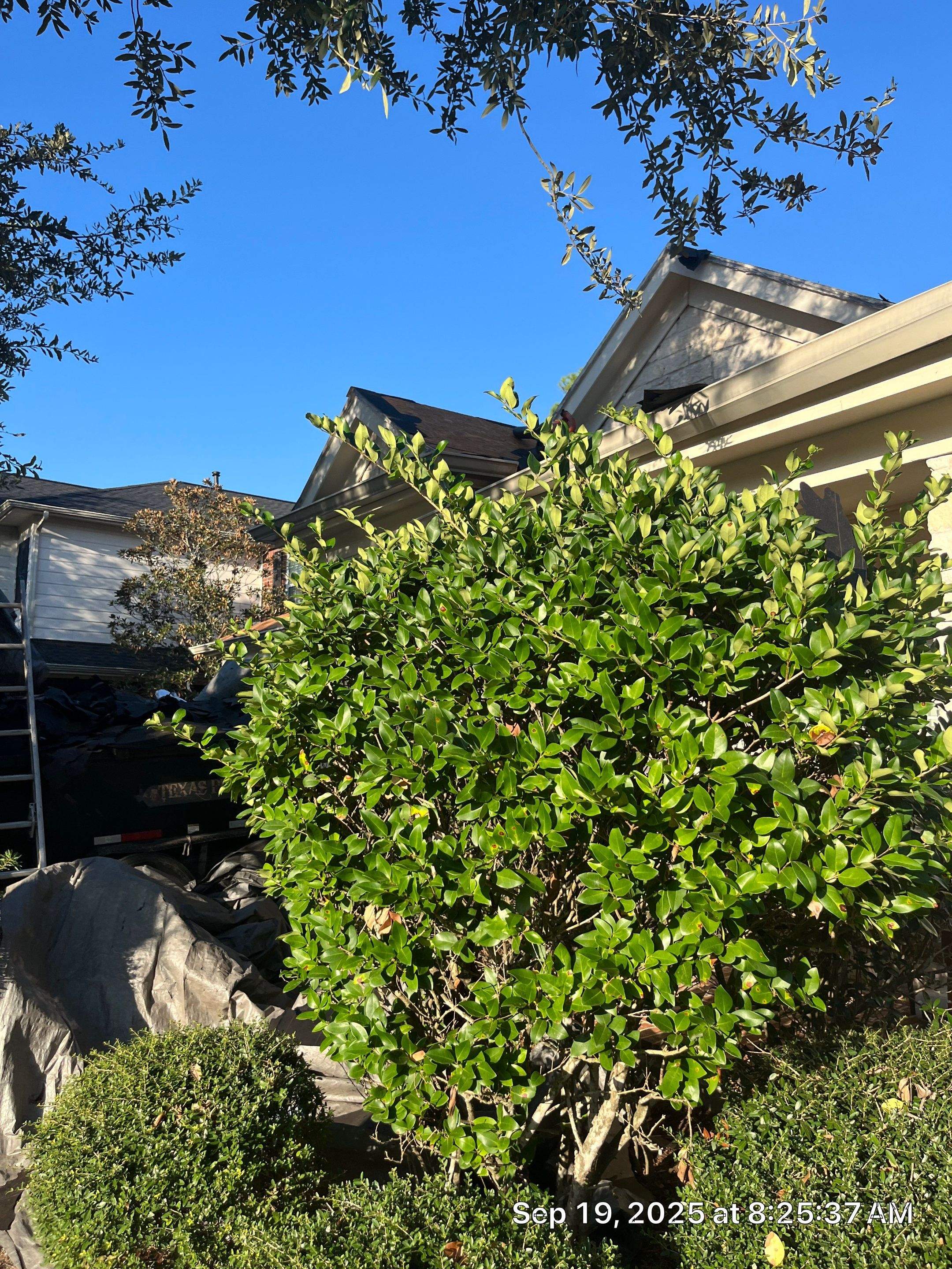 Project in Sugar Land 4 by Roof Guard And Construction