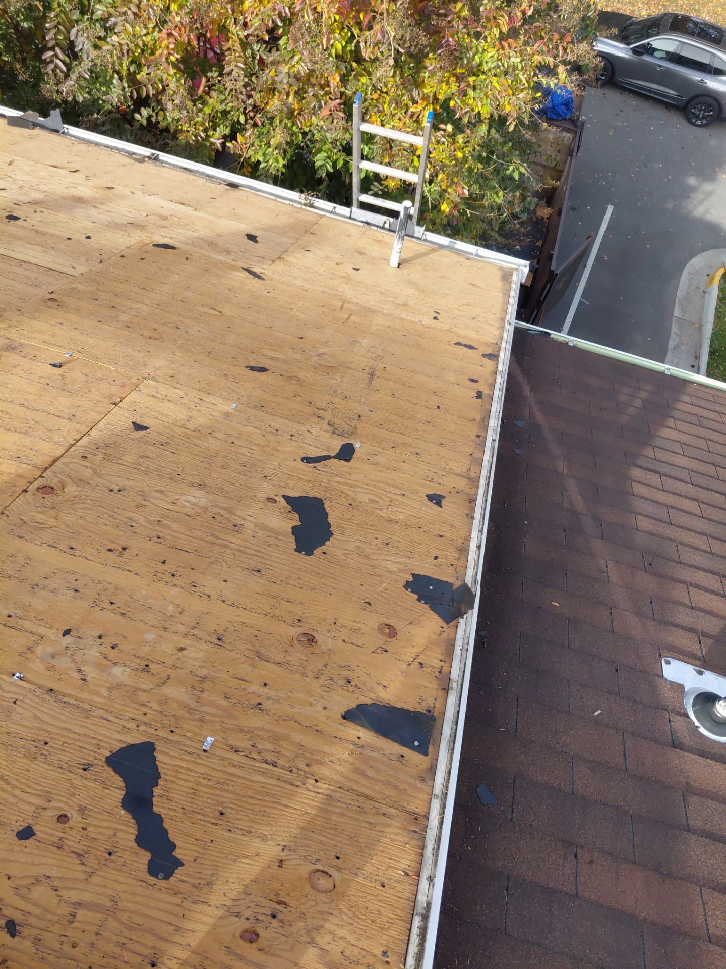 Alexandria : Residential Roof Replacement with CertainTeed Landmark Pro in Max Def Weathered Wood by RM Banning, Inc.
