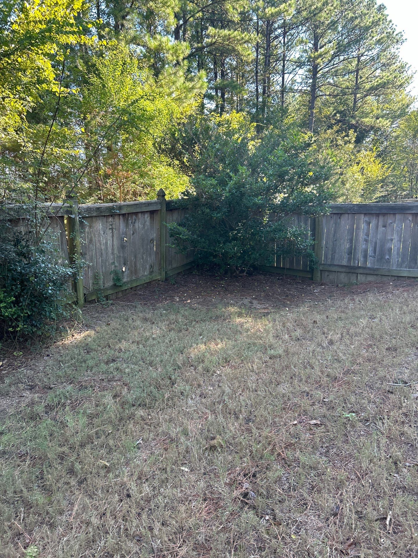 6’ Cedar Good Neighbor 6x6 by Roberson Construction LLC