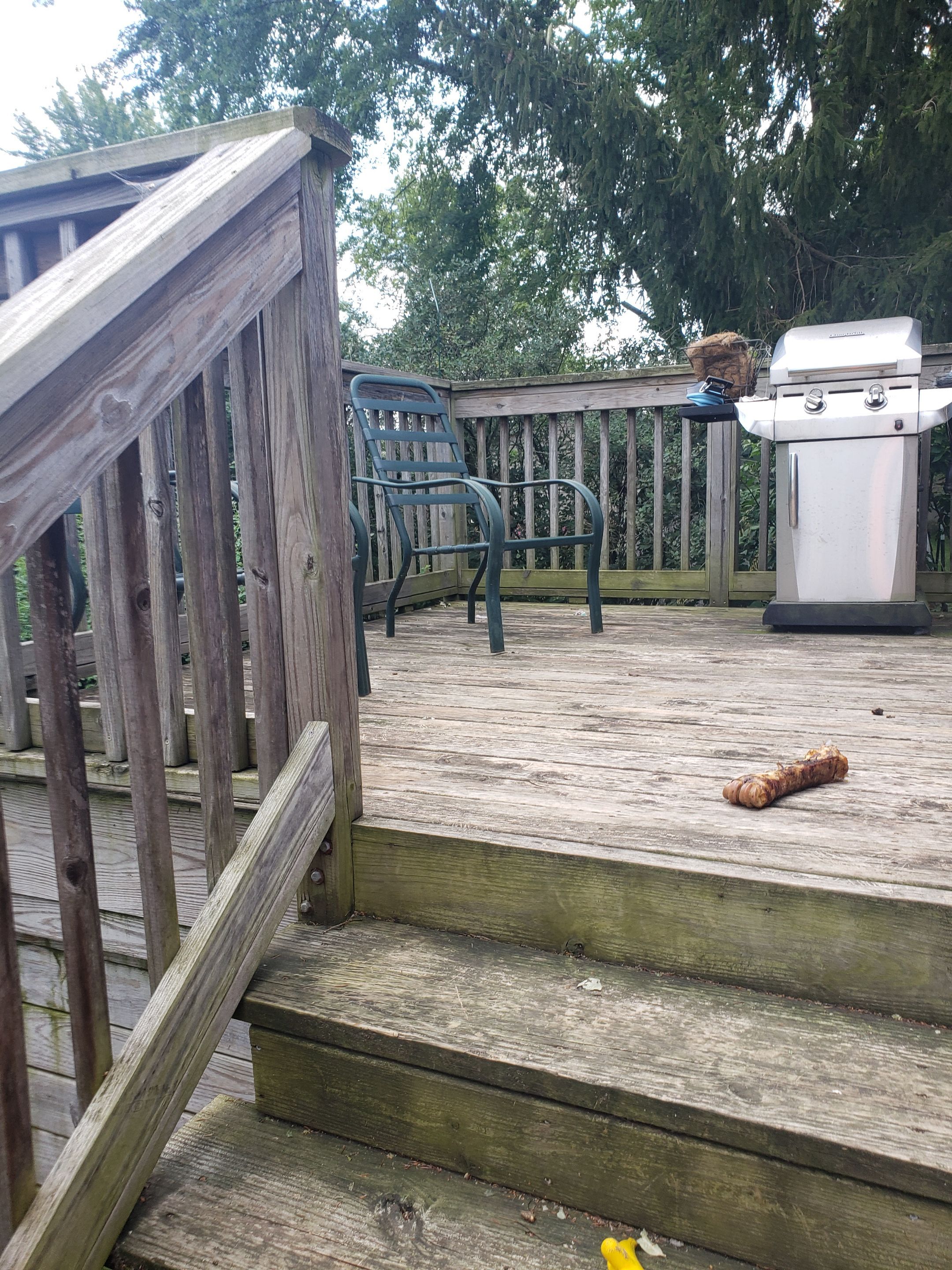 Isaac's Deck Restoration by Map Quality Fencing & Decks