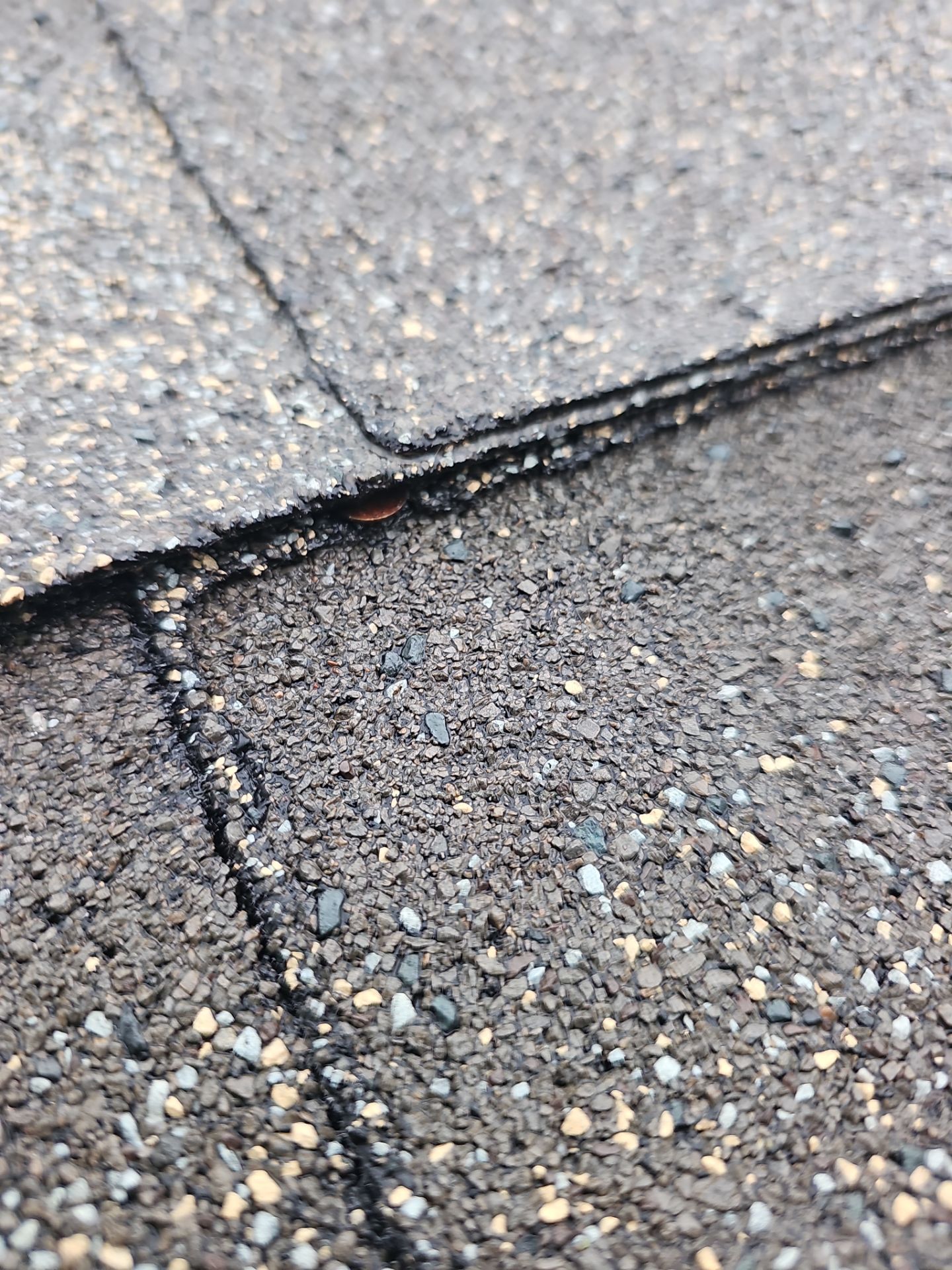 Roof Repair - Vents and Improper Nailing by Winchester Roofing