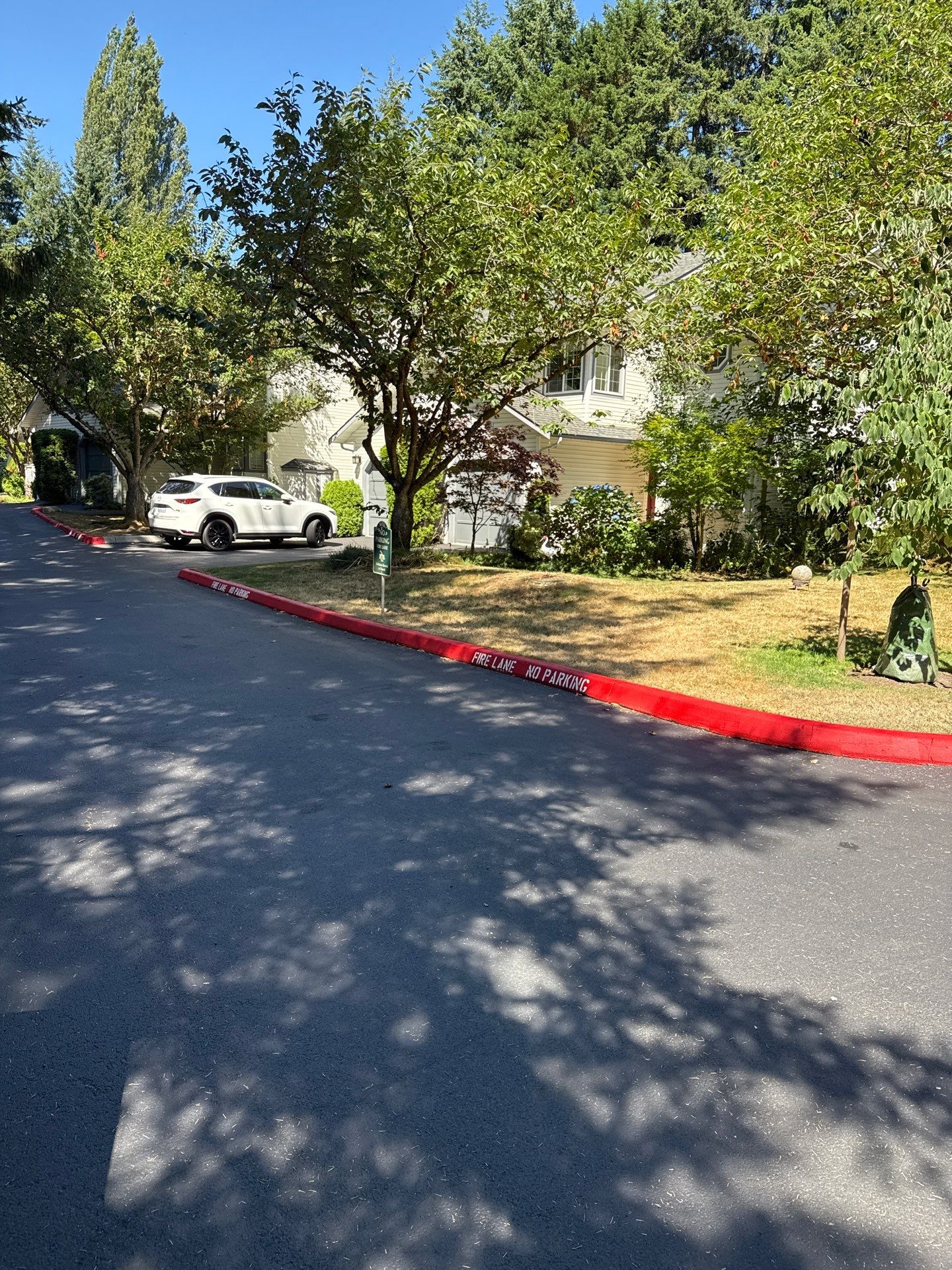 Curb Repaint | Seattle  by Jireh Asphalt & Concrete Inc 