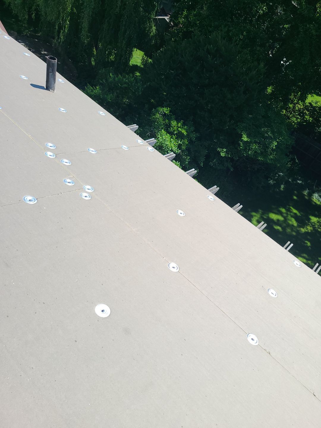 Alexandria: Mule Hide TPO Flat Roof by RM Banning, Inc.