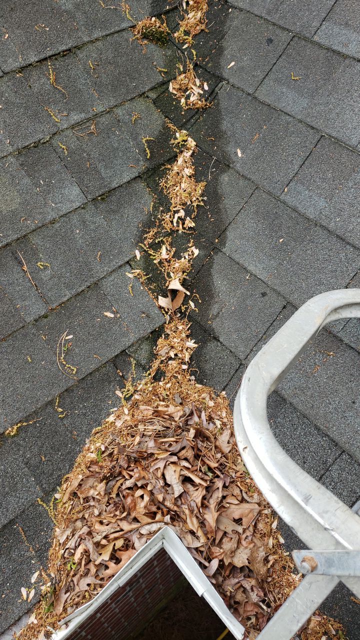 House Wash using cleaner by Power Wash Masters LLC