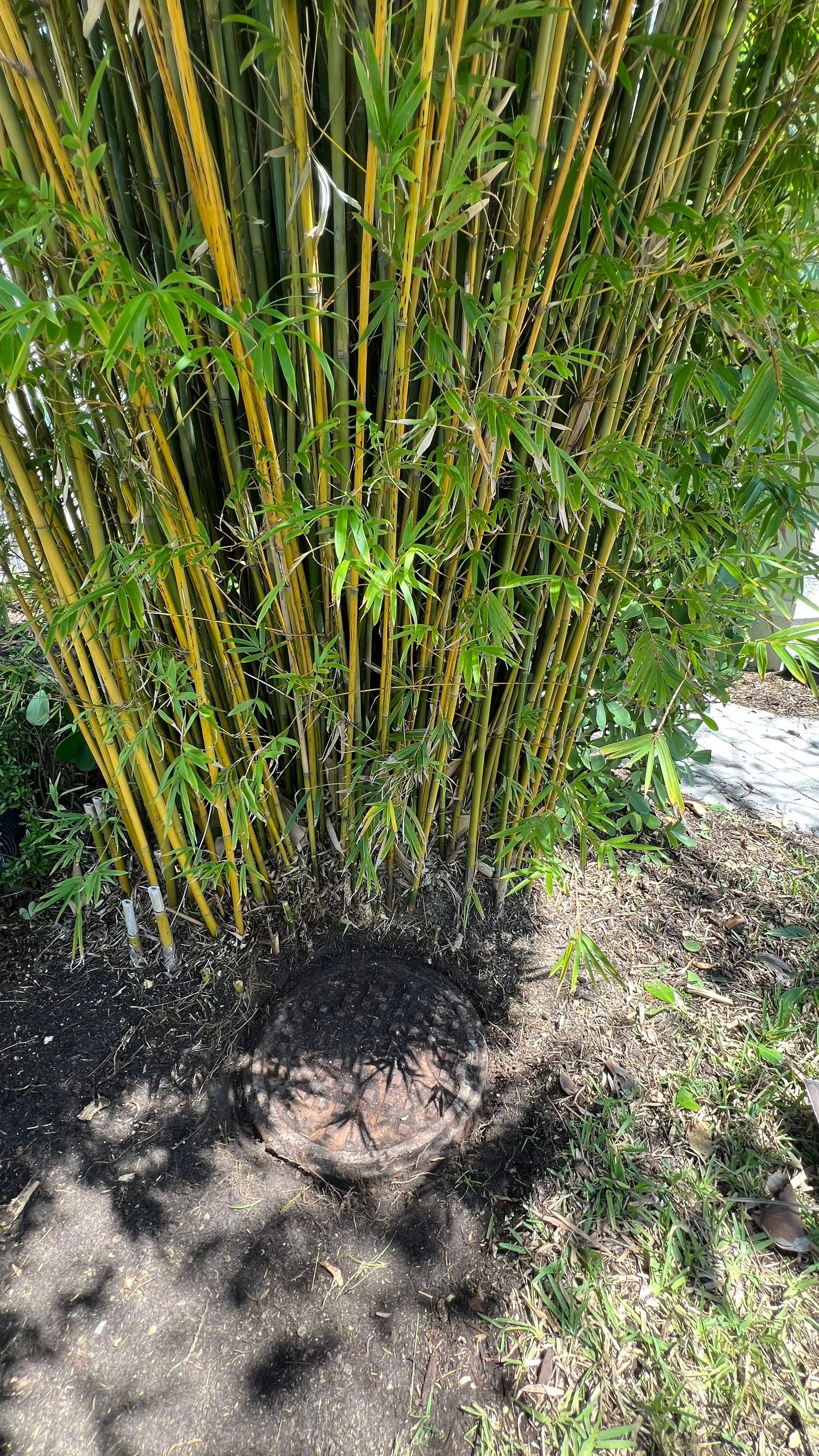 Community Storm System Maintenance and Camera Inspection by Don Mar, Inc. Storm Water Solutions