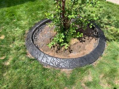 Stamped Concrete Border and Landscape Edging Installation in Medicine Hat by Pump it Up Concrete Jacking