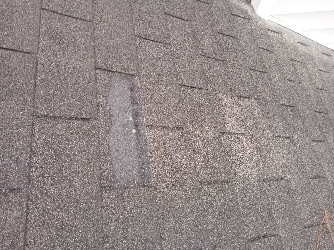 Residential Roofing Repair using Atlas Pinnacle Pristine Tan Mist by Talya Roofing