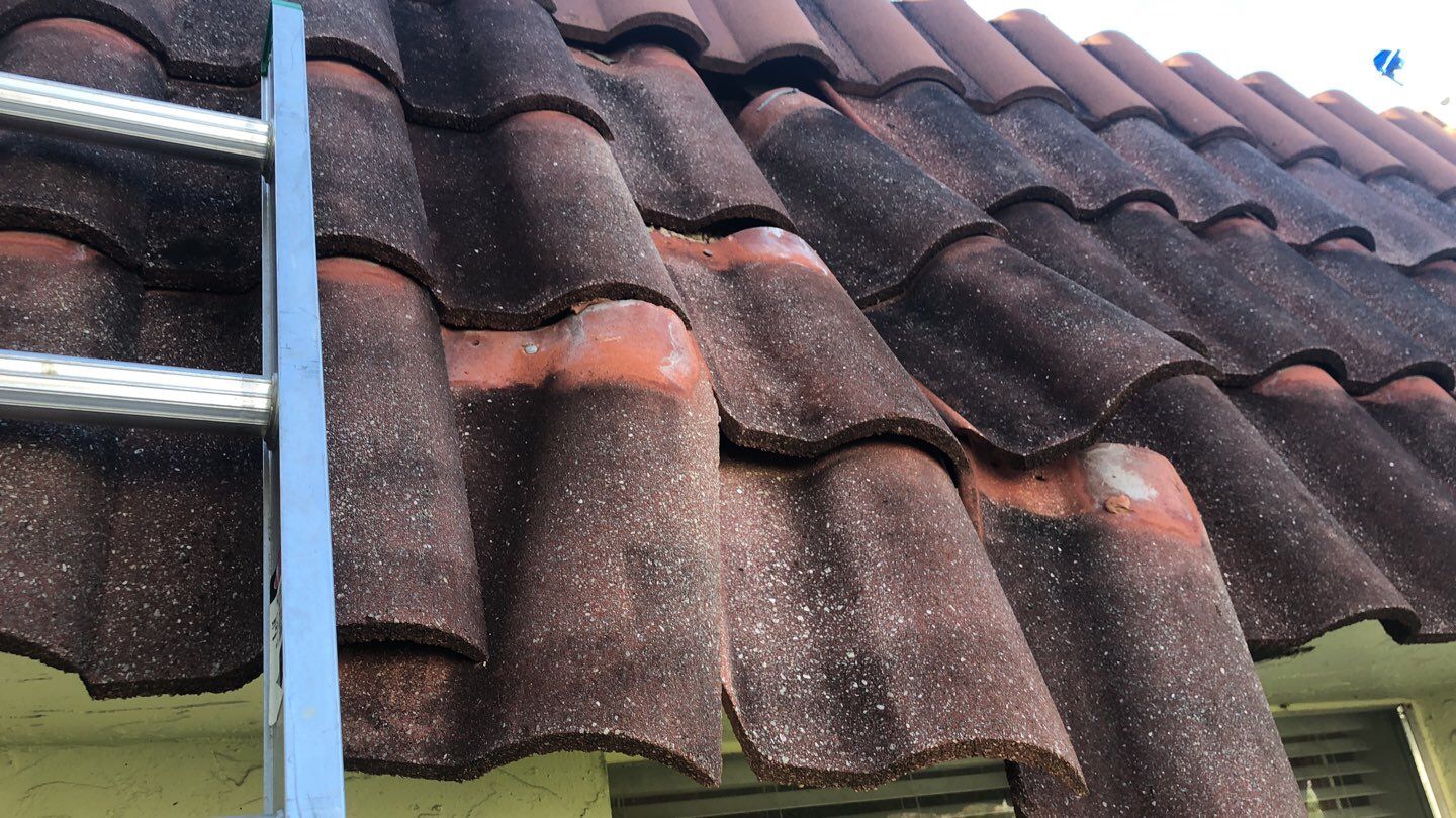 Roofing repair & Exteriors using Concrete Roof Tile by Aastro Roofing