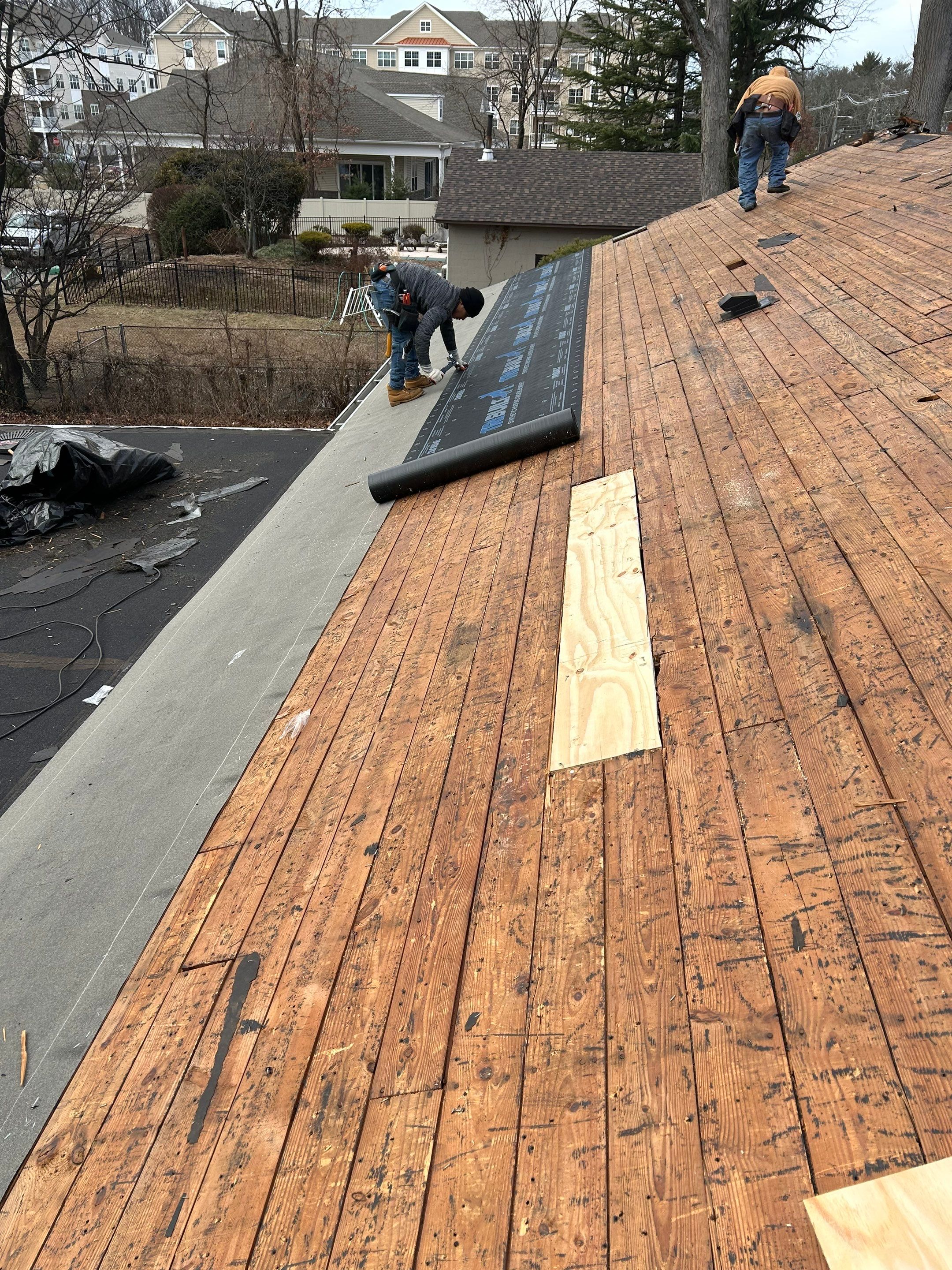 Pewter Gray Shingles by Reimagine Roofing