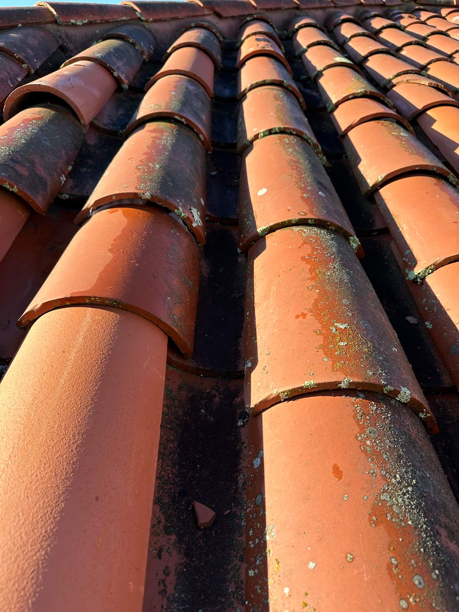 Orange County Clay Tile Roof Soft Wash on Unwalkwable Roof by Property Cleaning Experts