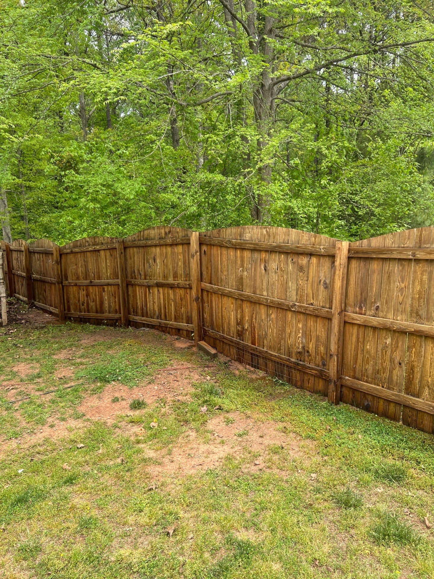 Fence using Wood Sealant by DuraSeal
