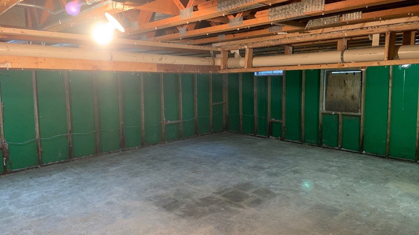 Grossly Contaminated Basement Mold by Chicagoland Water Medics
