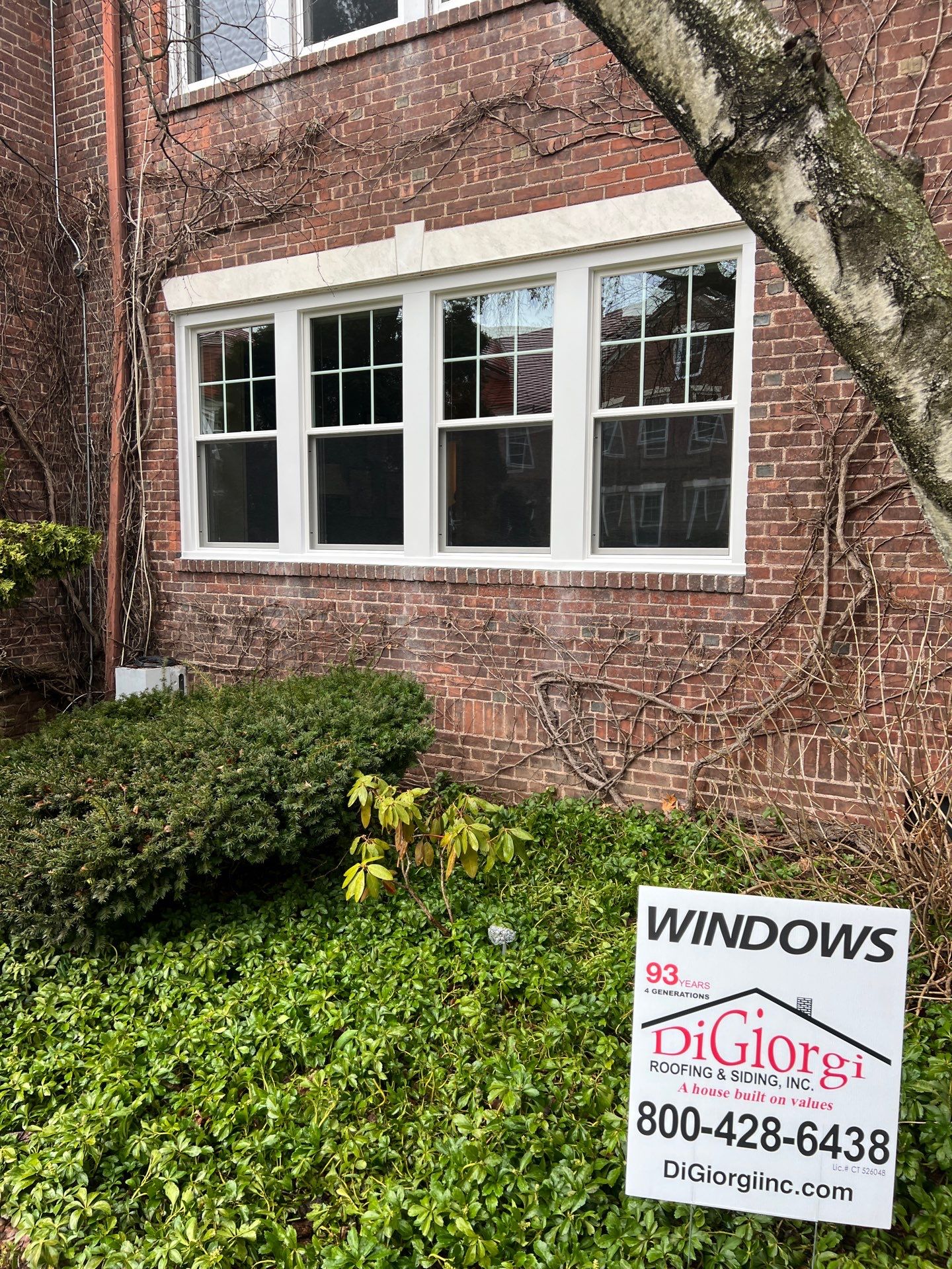 Multi-Window Upgrade for a Brighter, Updated Exterior by DiGiorgi Roofing and Siding Inc