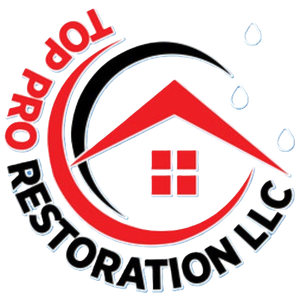 Logo for Top Pro Restoration
