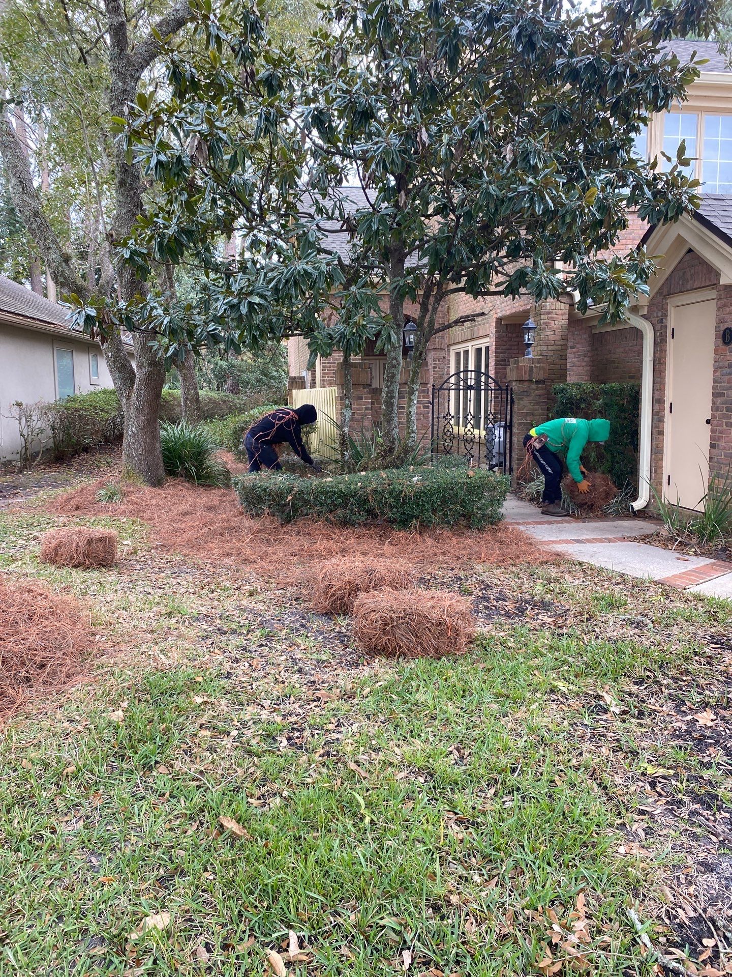 Deerwood Pointe | Tree Removal & Pine Straw Installation by ProGreen Services