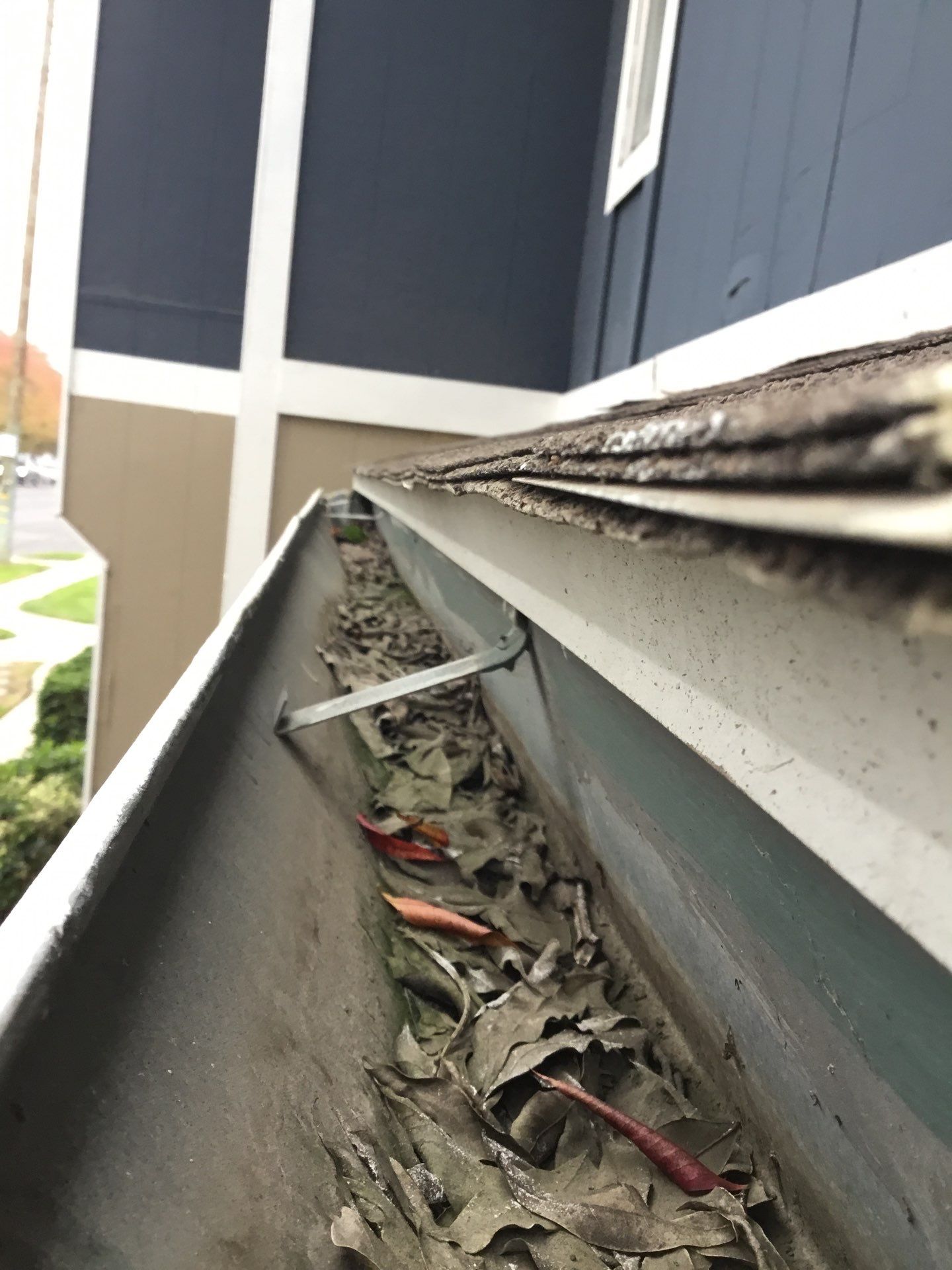 Commercial gutter cleaning in CA before photo of a gutter filled with leaves.