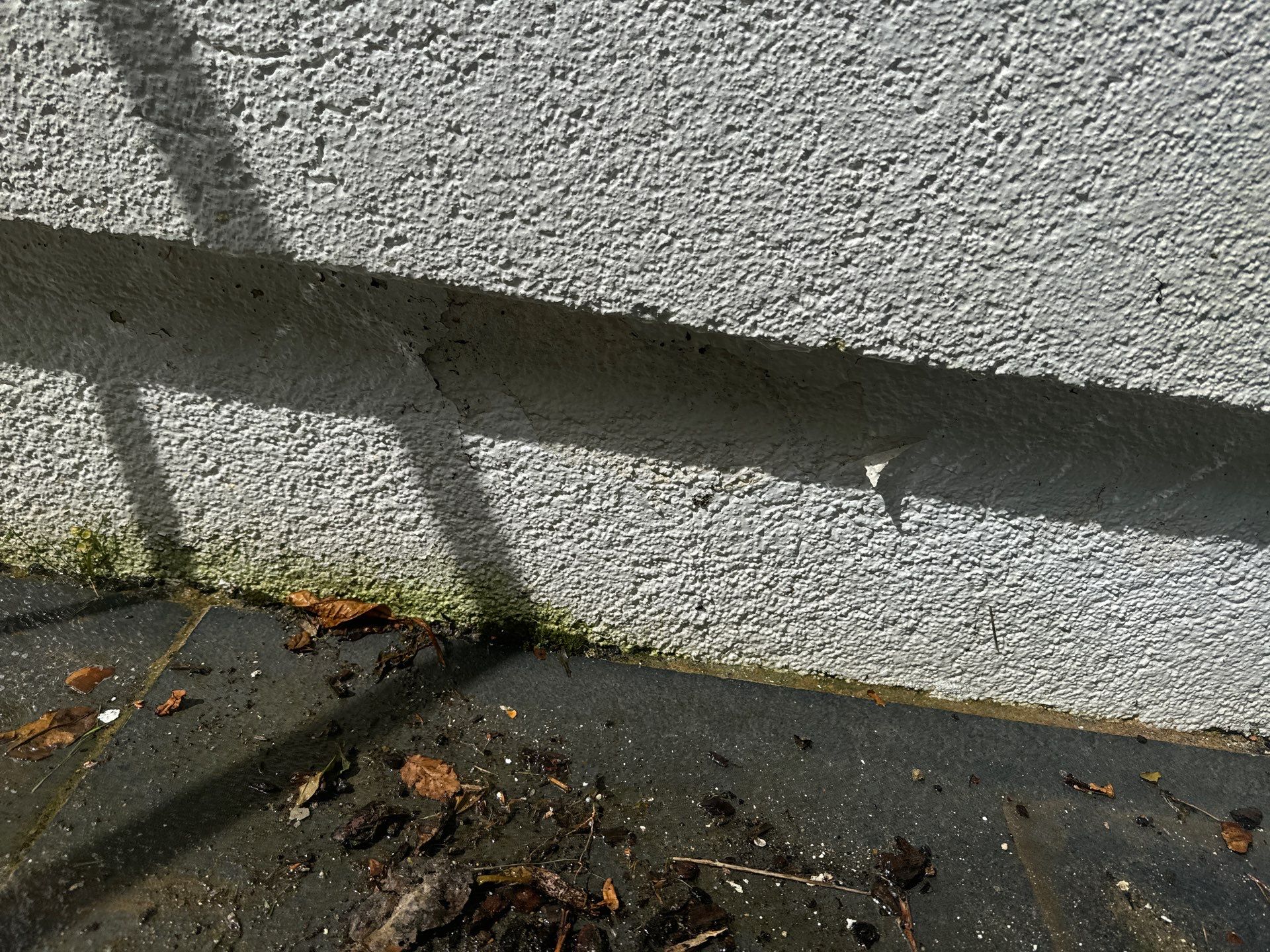 Render Clean using Pureseal Biocide - Solar Panel Clean by Ges Exterior Cleaning ltd