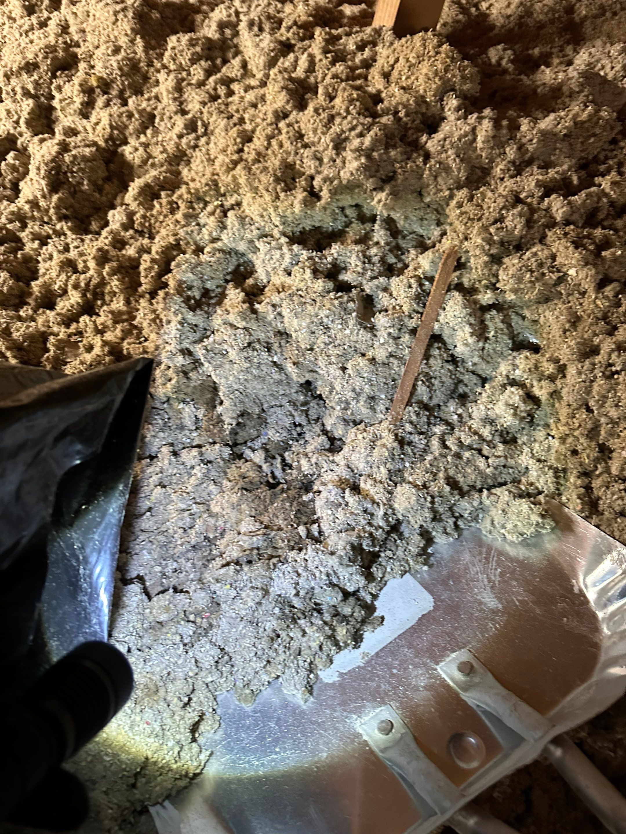 Mold in Crawl Space in Broomfiled, CO by Alpha Restoration 
