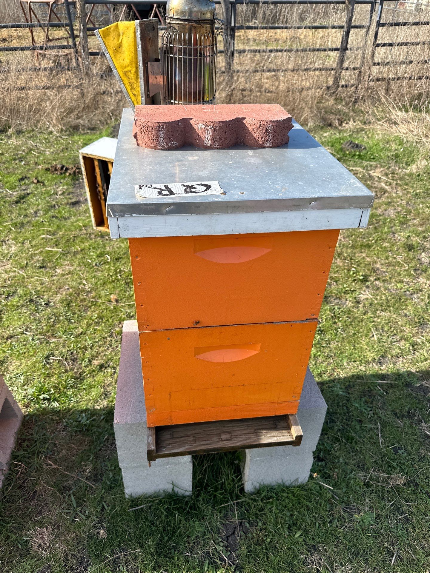 Bees for Ag. Exemption in Rockwall by Rockwall Honey Bee Company